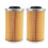 2PCS Engine Oil Filter for 420956741 130 Thru 260Hp 4 TEC 8