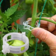 Säkra trädgårdsklämmor, transparent PP-plaststöd för klätterväxter, mångsidiga tomatklämmor för vinrankor med lättanvänd