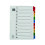 Assorted A4 1-10 Mylar Index WX01519 2