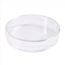 10 pezzi sterili con coperchi per piastra da laboratorio batterica 55 mm x 15 mm