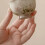 Κινέζικο στυλ Grass Gray Small Daisy Bud Cup Ποτήρι Τσαγιού για Οικογένεια, Κεραμικό 9
