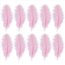 10 stuks natuurlijke struisvogelveren bruiloftsdecoratie roze 20-25 cm