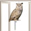 Vogelabwehr-Schild aus Acryl, Eulen-Imitat, reflektierend, für Obstgarten, Balkon oder Garten 9