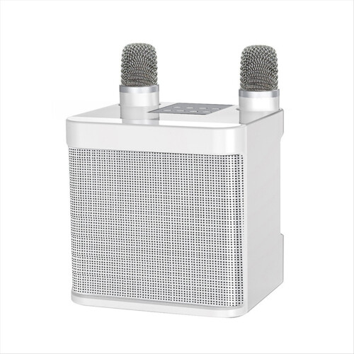-203 Karaoke Set Luidspreker Draadloos Bluetooth Dubbele Microfoon Machine Wit 2