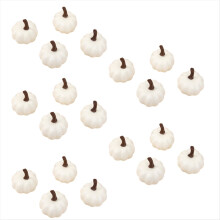 Abóboras vibrantes de Halloween: acessórios indispensáveis para decoração divertida de abóboras (branco).