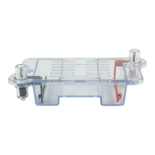 Tanque de eletroforese horizontal, instrumento biológico, separação molecular, ensino 2