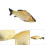 Decorative Fish Pillow with Stuffed Pet Toy Function, Double Sided Pattern Plush Fish Cushion, Realistic Fish Pattern with Invisible Zipper, 3D Simula 7