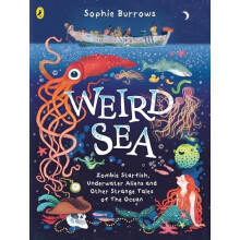 Weird Sea by Sophie Burrows Paperback Book