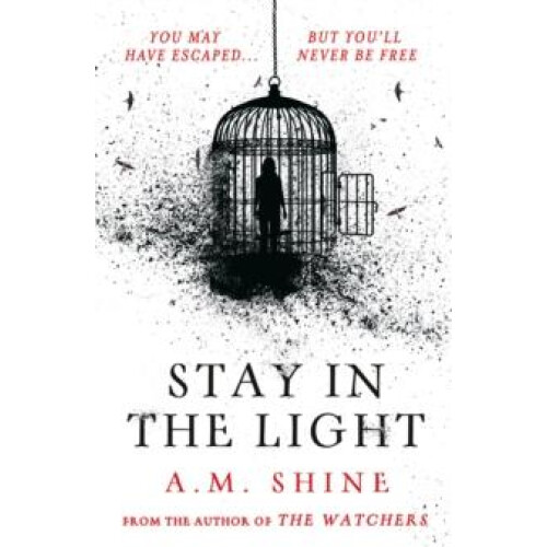 Stay in the Light by A.M. Shine Paperback Book