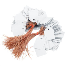 Etichette per prezzi per abbigliamento, etichette di marcatura resistenti con cordino, etichette vuote resistenti all'acqua e alla luce solare, 200