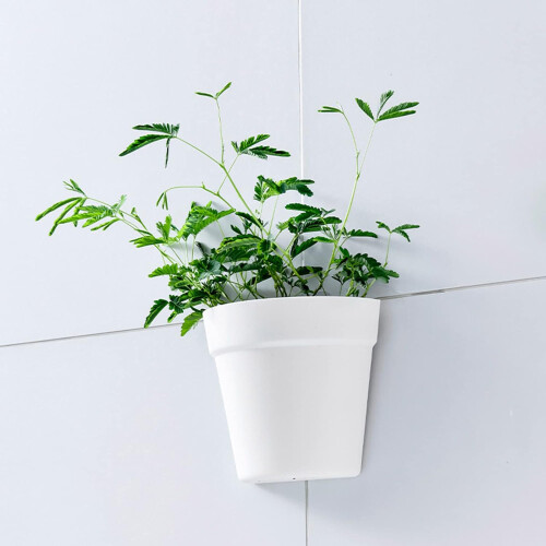 Flowerpot Wall Mounted Flower Shaped Plant Planter Container 2