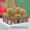 Δημιουργικό αξεσουάρ τοπίου, ξύλινος φράχτης μινιατούρας για έργα διοράματος, 3