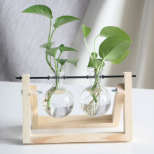 Coimeádán Terrarium Nua-Aimseartha, Feadán Gloine Criostail Glan le Dearadh Crochta le haghaidh Maisiú Oifige Baile, Vása Gloine Stíl Nordach