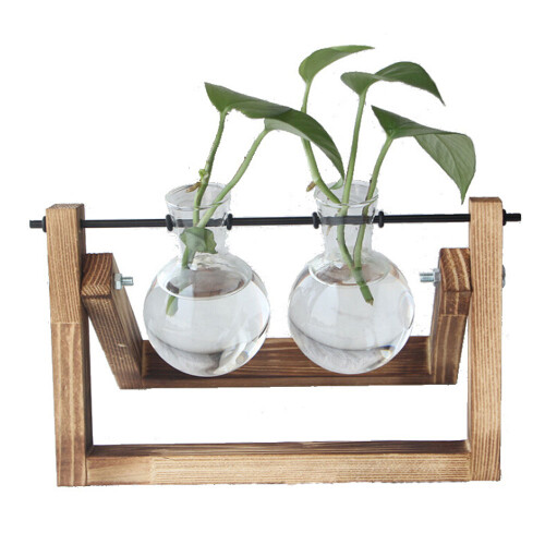 Μοντέρνο δοχείο Terrarium, κρυστάλλινος γυάλινος σωλήνας με σχέδιο κρέμασης για 1