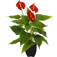 Vibrant Exotic Red Anthurium, Detailed Foliage Simulated Andraeanum Plant, Multi-Occasion Decoration for Home Office, Waterproof Non-Fading Artificial