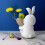 Αντλία ψεκασμού κήπου αναβαθμισμένη με ρυθμιζόμενη μεταλλική λόγχη Viton Seals, 6