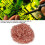 2pcs Copper Soldering Tip Cleaner Balls for Efficient Iron Tip Cleaning 5