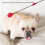 Dog Training Stick Whip For Pet Exercise With Handle Indoor 2
