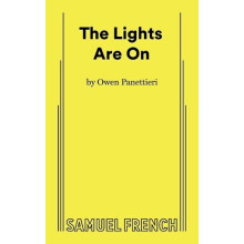 The Lights Are On by Owen Panettieri Paperback Book