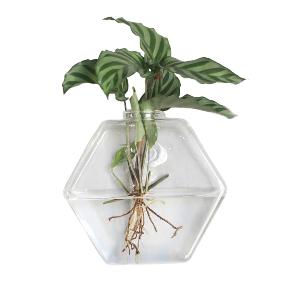 Clear Borosilicate Glass, Conical Glass Wall Vase For Hydroponic Terrarium, Unique Home Office Decor, Succulent Plant Holder, 1 Piece, Transparent, 9*-image-OPC-PN8RQ8R-NEW