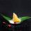 Sushi Sushi Modify Grüne Servierplatte 50 Tray 8