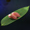 Sushi Sushi Modify Grüne Servierplatte 50 Tray 4