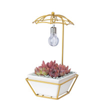 Multi-Use Plant Container, Modern Indoor Decor With Geometric Design Wall Planters, Durable Ceramic Hanging Planter For Succulent Cactus Air Plant Hol