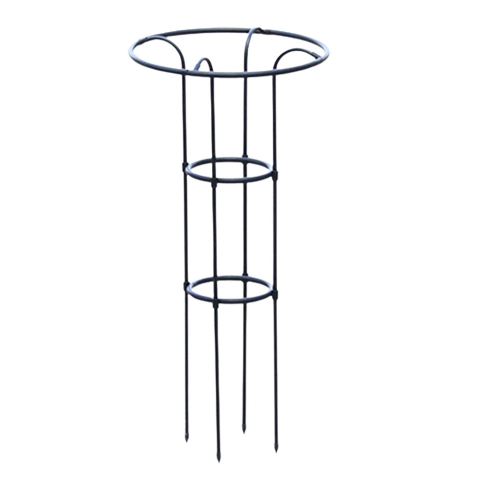 (Black, 100 cm) Metal Plant Trellis For Climbing Plants Easy To Install Adds Charm To-image-OPC-PN8RTB2-NEW