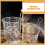 2Stk. Pasta Mit Griff – Feinmaschiger Nudelkorb 9