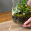 Catty Pierreux Hydroponiques Colorés Pour Planteurs De 7