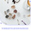 One Set Kids Geology Kit With Rock Specimens For Educational Learning 9