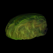 Waterproof Fluorescent Green Cycling Helmet Cover, Oxford Cloth, Reflective Safety