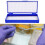 2 Pcs Food Storage Boxes With Lids Freezer Case Pathological 3