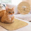 2 Pack Sisal Cats Scratching Pad Wall Protector Natural Fiber 6