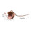 Χρυσό EasyToCleanMetalInfuser: Σουρωτήρι FineMeshTeaStrainer, CreativeTeaAccessories, ElegantTeapotDesign για τους 6
