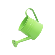 Metal Watering Can for Plant Watering Can for Indoor-Green