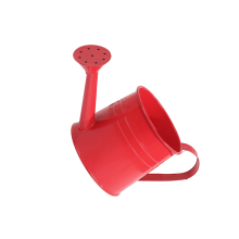 Watering Can for Indoor Plant Small Watering Can for House-Red