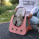 Cats Carriers Bag Backpack for Travel Soft Shoulder-Light Green 6