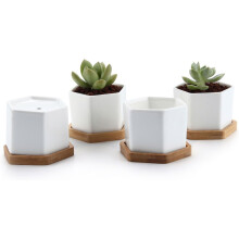 Moderne mini-potjes voor vetplanten, zeshoekige witte keramische potjes voor vetplanten en cactussen, ideaal voor thuis of op kantoor, gemakkelijk te
