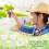 Υδροπονικά είδη για την ανάπτυξη σπόρων σε Aerogarden, σφουγγάρια και καλάθια 5