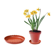Pots de pépinière en plastique épais, soucoupes transparentes pour plantes avec trou de drainage, lot de plusieurs pots d'intérieur avec soucoupe
