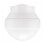 Spherical Flash Diffuser For Flash Units Including V100 V1pro V1 1