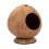 Private Space Coconuts Hamster Shelter Natural House For Dwarf 1