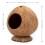 Private Space Coconuts Hamster Shelter Natural House For Dwarf 3