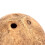 Private Space Coconuts Hamster Shelter Natural House For Dwarf 4