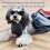 Comfortable Mobility Aid Disabled Dog Rear Leg Protections-M 3