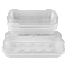 Plateaux de germination avec mini-jardin sur rebord de fenĂŞtre, couvercles de semis pour herbes aromatiques, micro-pousses et salades, serre Ă