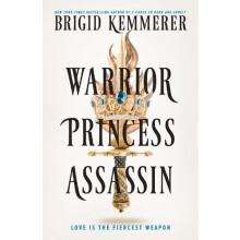 Warrior Princess Assassin by Brigid Kemmerer Hardcover Book