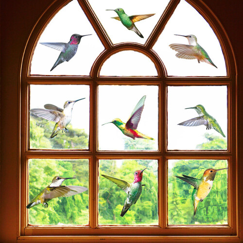 Κολιέ παραθύρου Hummingbird για λείες γυάλινες πόρτες και παράθυρα, αυτοκόλλητα 2