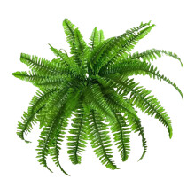 Artificial Plastic Fern Plant Decoration For Garden-18 heads